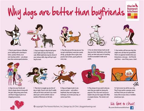 The 4 Types of Boyfriends as Dogs 